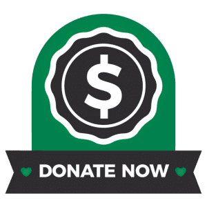 General Donate Now icon