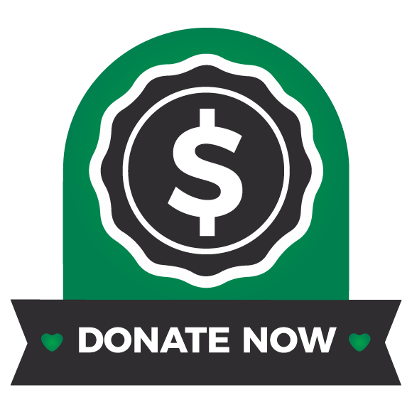 donate-now donate now